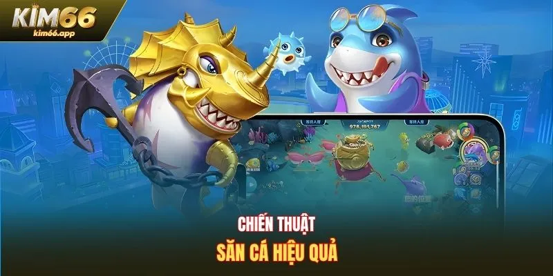 Chiến thuật săn cá hiệu quả