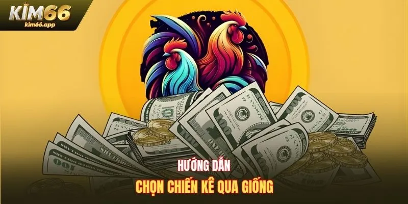 Hướng dẫn chọn chiến kê qua giống