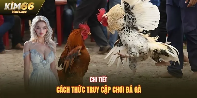 Chi tiết cách thức truy cập chơi đá gà