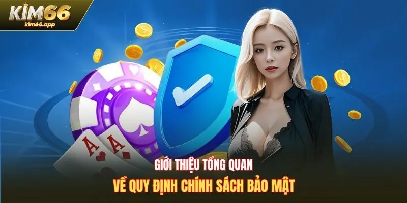 Giới thiệu tổng quan về quy định chính sách bảo mật