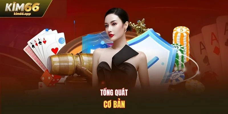 Tổng quát cơ bản