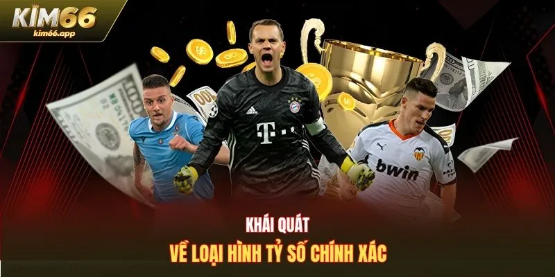 Khái quát về loại hình tỷ số chính xác