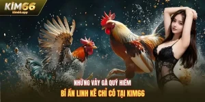 những vảy gà quý hiếm
