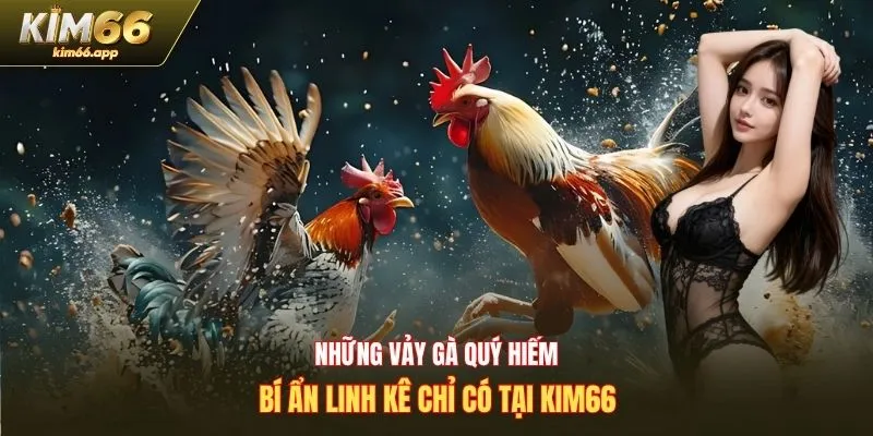 những vảy gà quý hiếm