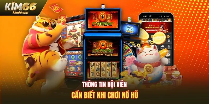 Thông tin hội viên cần biết khi chơi nổ hũ