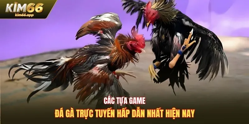Các tựa game đá gà Kim66 trực tuyến hấp dẫn nhất hiện nay