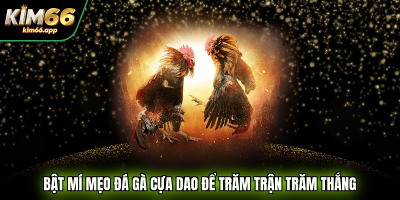 mẹo đá gà cựa dao