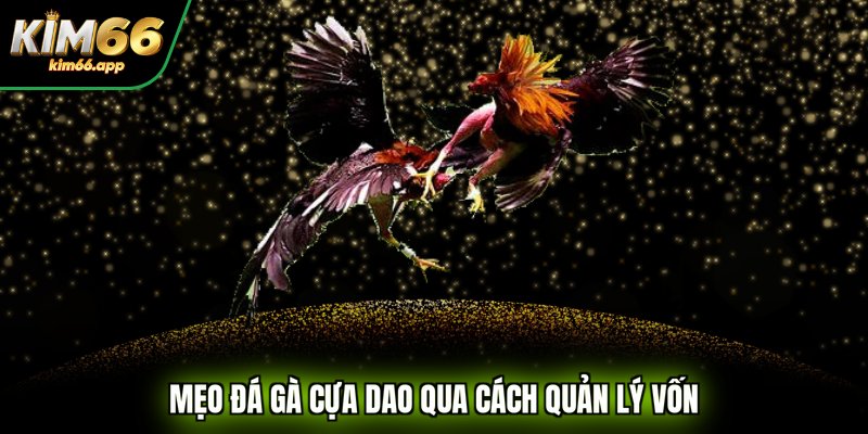 Mẹo đá gà cựa dao qua cách quản lý vốn