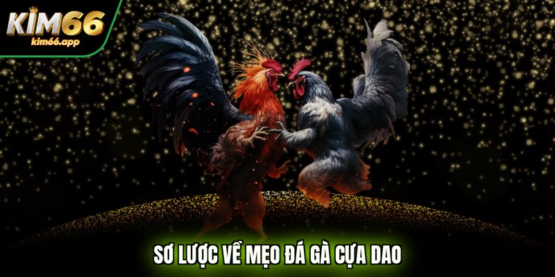 Sơ lược về mẹo đá gà cựa dao