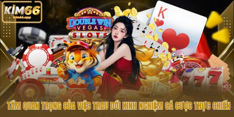 Tầm quan trọng của việc trau dồi kinh nghiệm cá cược thực chiến